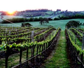 Philip Shaw Wines - New Castle Tourism 1