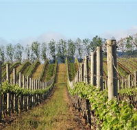 Philip Shaw Wines - New Castle Tourism