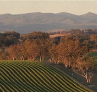 Angullong Wines - New Castle Tourism