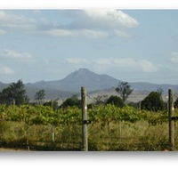 Ironbark Ridge Vineyard - New Castle Tourism