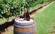 Cedar Creek Estate Vineyard And Winery - thumb 0