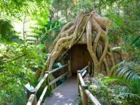 Cedar Creek Estate Vineyard And Winery - Newcastle Accommodation 1