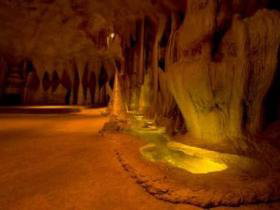 Cedar Creek Estate Vineyard And Winery - Newcastle Accommodation 2