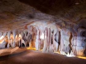 Cedar Creek Estate Vineyard And Winery - Newcastle Accommodation 3