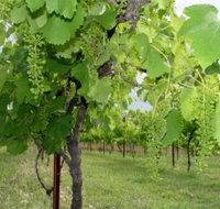 Holland Wines - Newcastle Accommodation