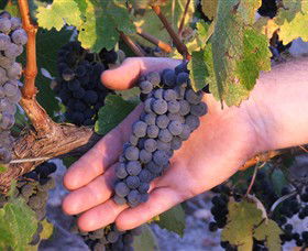 Eagles Rise Wine - Newcastle Accommodation 0