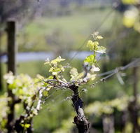Galli Estate Winery - New Castle Tourism