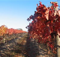 Kooyonga Creek Wines - New Castle Tourism