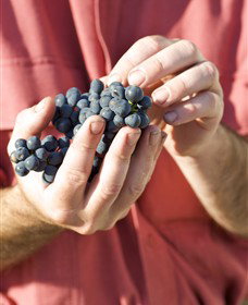 Modewarre VIC Newcastle Accommodation