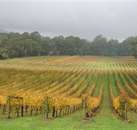 Boat O'Craigo Wines - New Castle Tourism