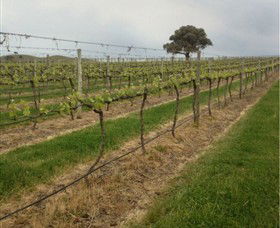 Indigo Vineyard - New Castle Tourism 1