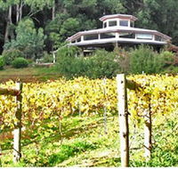 Peveril Vineyard/Beechy Berries - New Castle Tourism