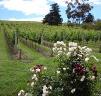 Pembroke Estate Vineyard - Newcastle Accommodation