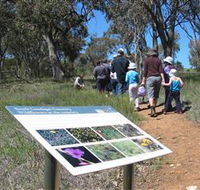 South Gundagai Woodlands Walk - New Castle Tourism