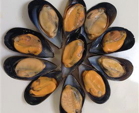 Advance Mussel Supply - New Castle Tourism 3