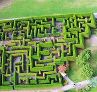 Hedgend Maze and Healesville Laser Sport - New Castle Tourism