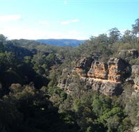 Ferntree Gully Reserve - New Castle Tourism
