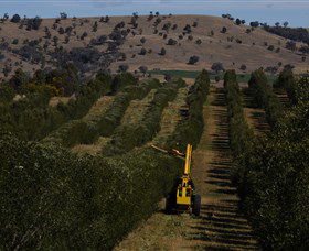 Rylstone Olive Press - New Castle Tourism 2