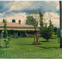 Tumut Valley Violets - Newcastle Accommodation