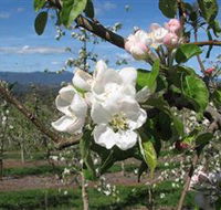 Mouat's Farm - Newcastle Accommodation
