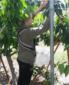 Mouat's Farm - Newcastle Accommodation 4