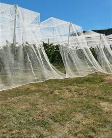 Mouat's Farm - Newcastle Accommodation 5