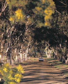 Albert Facey Heritage Trail - New Castle Tourism 0