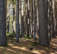 Sugarpine Walk - Newcastle Accommodation