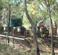 7 Oaks Sapphire Fossicking - Newcastle Accommodation