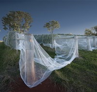 Toppers Mountain Wines - New Castle Tourism