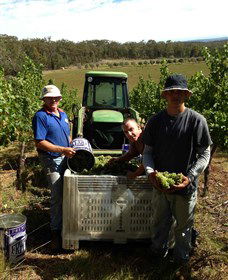 Toppers Mountain Wines - New Castle Tourism 2