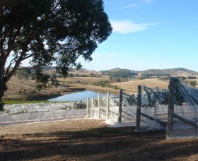 Helm Wines - New Castle Tourism 4