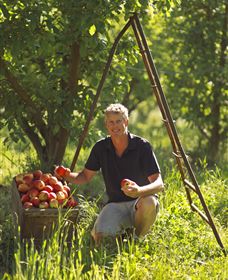 Mock Red Hill - Newcastle Accommodation 1