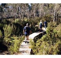 Hume and Hovell Walking Track - Henry Angel Trackhead - Newcastle Accommodation