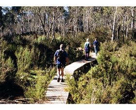 Hume And Hovell Walking Track - Henry Angel Trackhead - Newcastle Accommodation 0