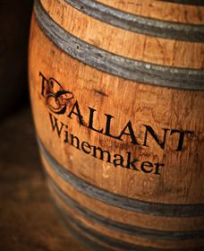 T'Gallant Winemakers - New Castle Tourism 0