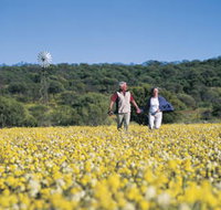 Koolanooka Springs - Newcastle Accommodation