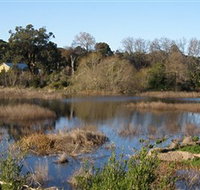 Coolart Wetlands and Homestead - Newcastle Accommodation
