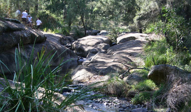Glenbawn NSW New Castle Tourism