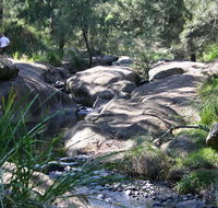 Towarri National Park - Newcastle Accommodation