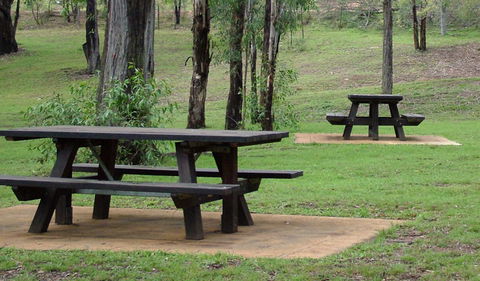 Towarri National Park - New Castle Tourism 2