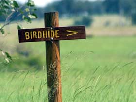 Charlestown ACT Newcastle Accommodation