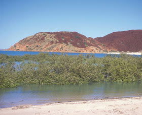 Hearsons Cove - New Castle Tourism 0
