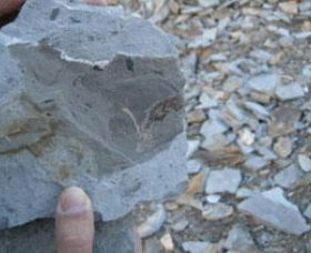 Fossil Rock - New Castle Tourism 1