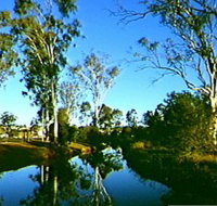 Dingo Creek Park - Newcastle Accommodation
