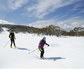 Mt Baw Baw Alpine Resort - New Castle Tourism 2