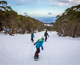 Mt Baw Baw Alpine Resort - New Castle Tourism 0