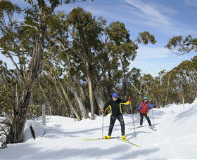 Mt Baw Baw Alpine Resort - New Castle Tourism 4