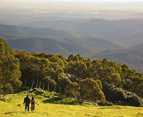 Mt Baw Baw Alpine Resort - New Castle Tourism 6