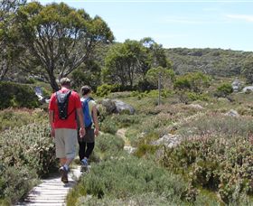 Mt Baw Baw Alpine Resort - New Castle Tourism 7